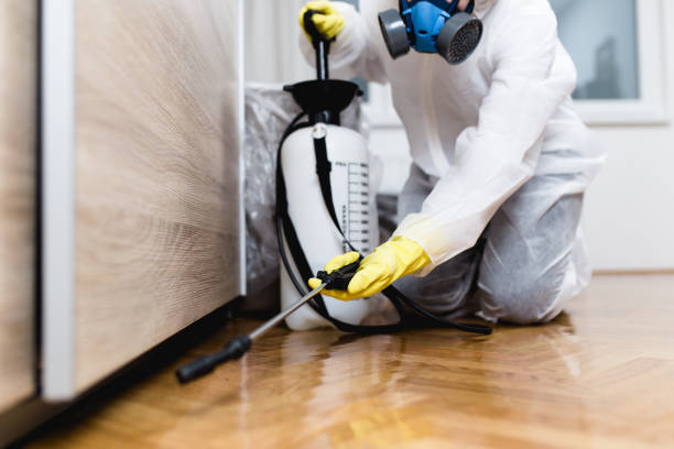 Best Termite Control Services  in Lavaca, AR