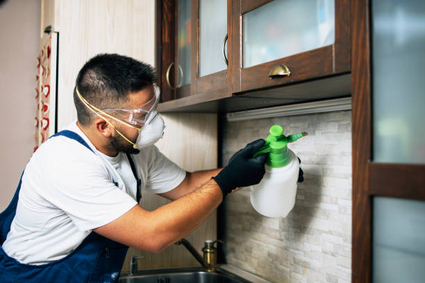 Best Affordable Pest Control Services  in Lavaca, AR