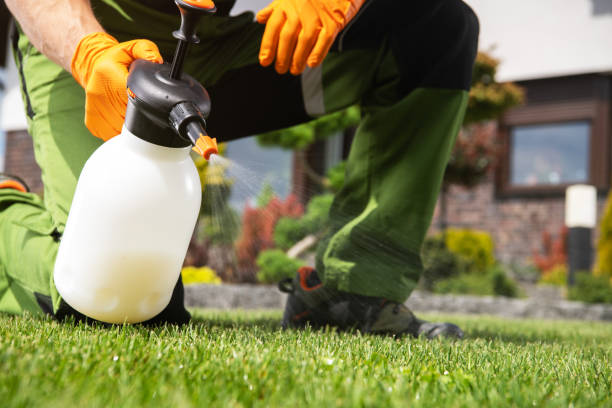 Best Affordable Pest Control Services  in Lavaca, AR