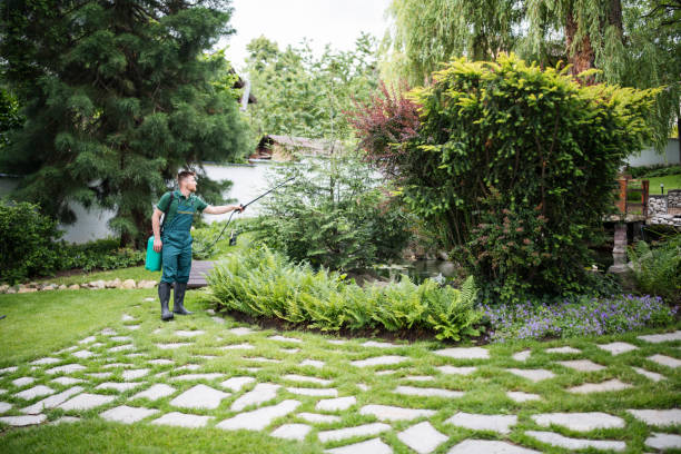 Best Affordable Pest Control Services  in Lavaca, AR