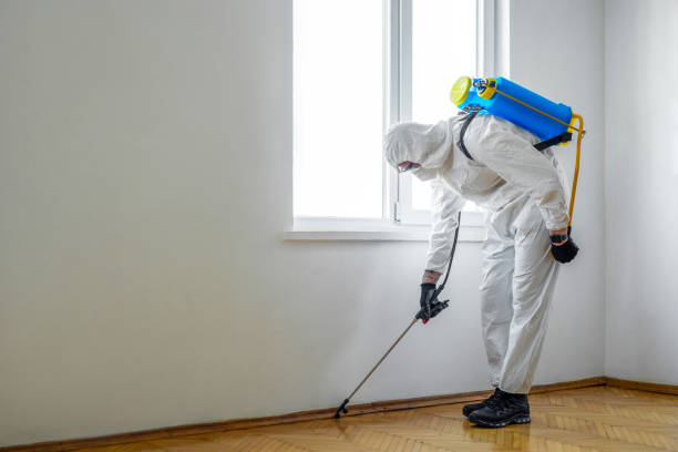 Best Pest Removal Services  in Lavaca, AR