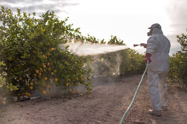 Best Best Pest Control Companies  in Lavaca, AR
