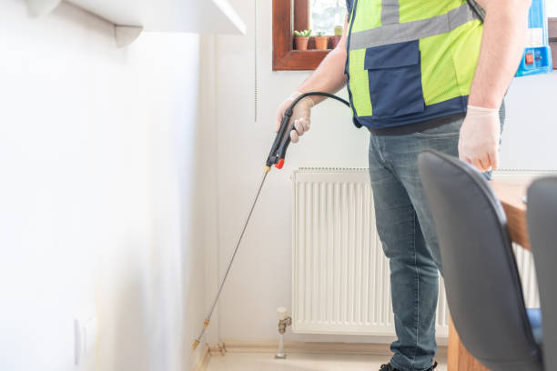 Best Wasp Removal Services  in Lavaca, AR