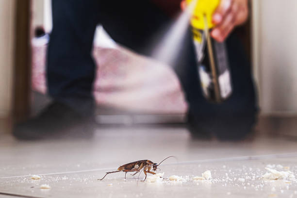 Pest Control for Restaurants in Lavaca, AR