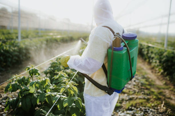 Best Emergency Pest Control  in Lavaca, AR